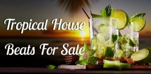 Tropical House Beats For Sale